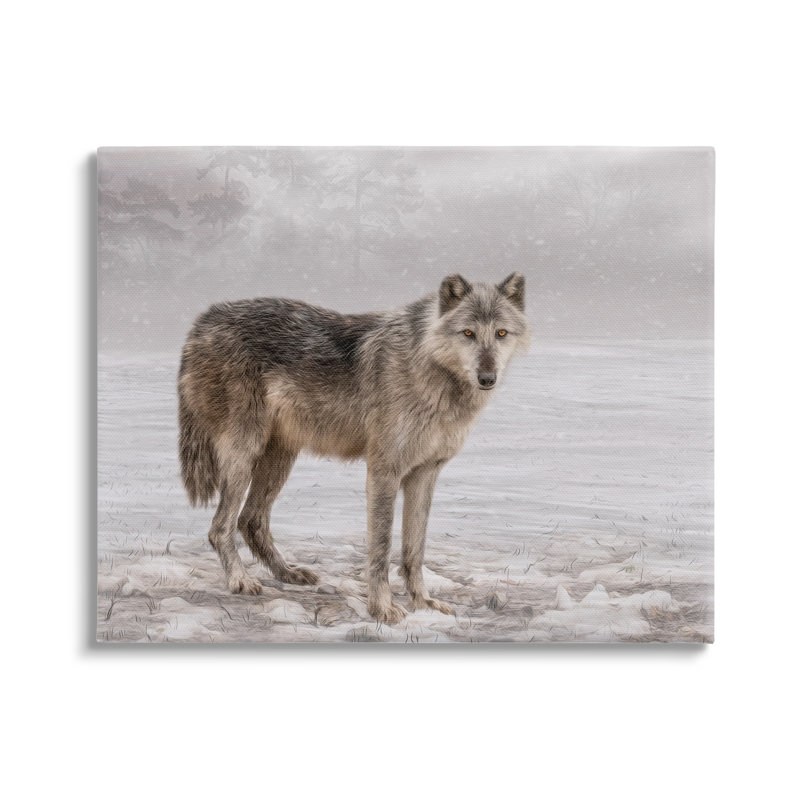 «Lone Coyote Wolf Snowy Field Landscape Intricate Détails» par Kelley Parker - photographie sur toile tendue, Toile tendue