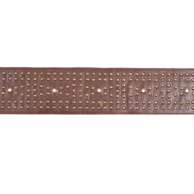 Studded Leather Trim