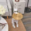 Table d'appoint Tray Top-1845261971