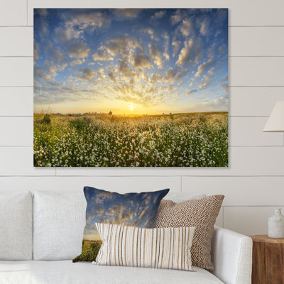 «Summer Sunrise Daisy Flowers», œuvre d'art traditionnelle sur toile