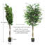 Faux arbre ficus avec pot pour la décoration intérieure-1805523237