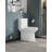 1.1/1.6 GPF Elongated Comfort Height Floor Mounted One-Piece Toilet, CUPC Certified, Watersense Cetified, Ceramic, White Color, Soft Close Seat