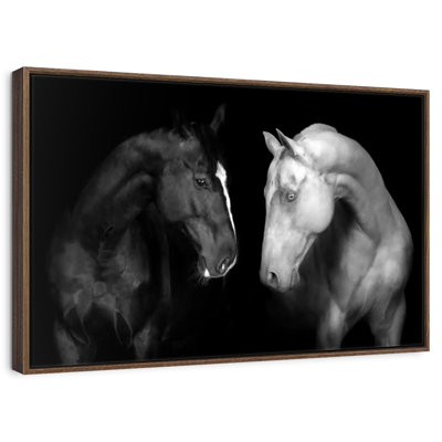 Chevaux monochromes