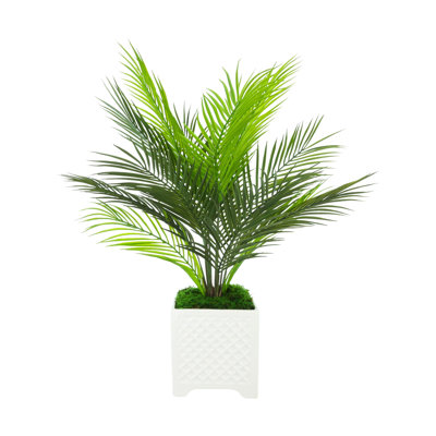Akeyah Faux Palm Plant in Fiberstone Pot