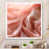 White Single Picture Framed