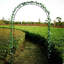 Arches d'escalade pour mariage
