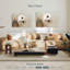 Hibou Brampt-107679670