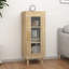 Latreshia 1 - Door Rectangle Accent Cabinet-5058974