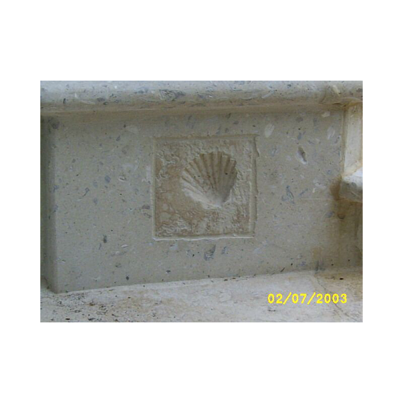 6" x 6" SeaStone Cement Scallop Fossil Impression Medallion Tile in Buff