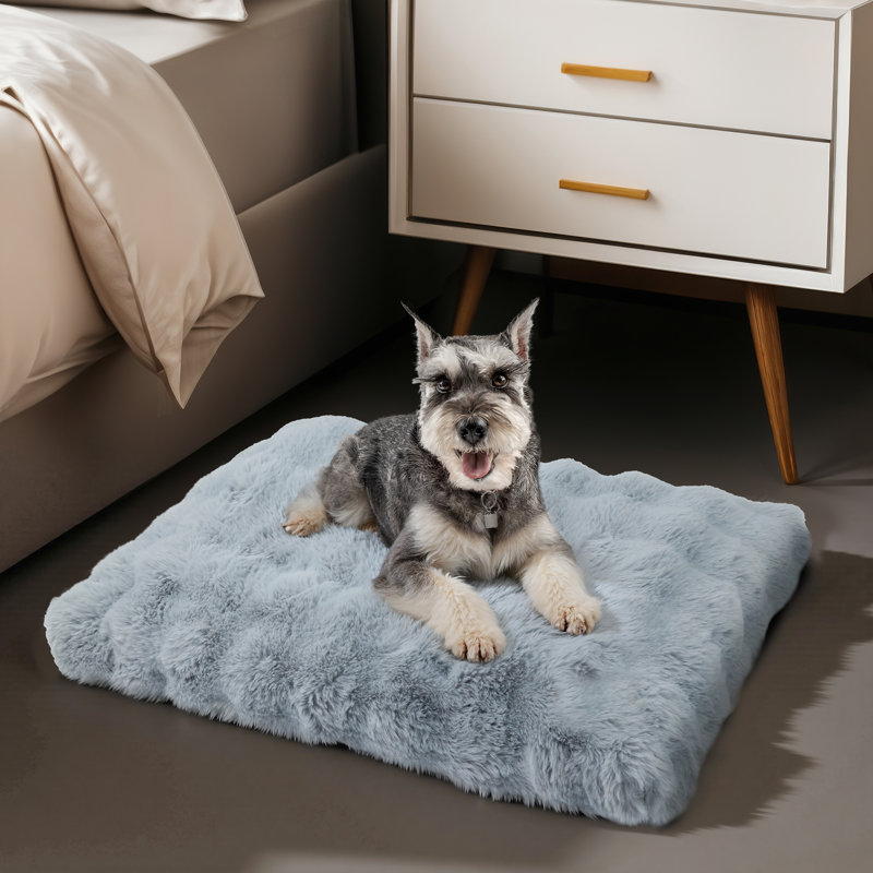 Dog Bed, 10cm H x 76cm W x 51cm D, Grey