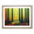Oak Framed