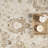 Abani Rugs Traditional Distressed Floral Beige Area Rug-965885210