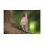 Wall Art on Canvas-756666872