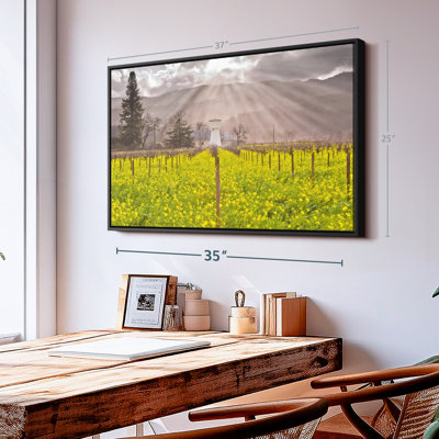 Nature " Napa Valley Vineyards Wall Art "