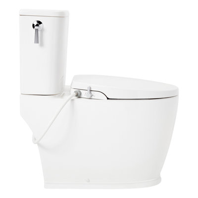 Toilette allongée deux pièces Pendleton 1,28 GPF