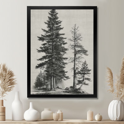 Vintage Pine Trees On Mountain - Pine Wall Decor, Black Nature Framed Wall Art