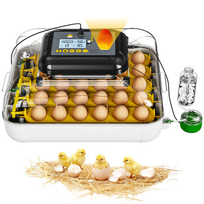 [Large-Capacity Egg Incubator] Incubators for Hatching Eggs, 30 Chicken Eggs Incubator with Automatic Egg Turning, Dual Power Supply, Egg Candler, Temperature & Humidity Control with Alert Function, Auto Water Filling