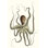 Antique Octopus Collection I - Wrapped Canvas Graphic Art