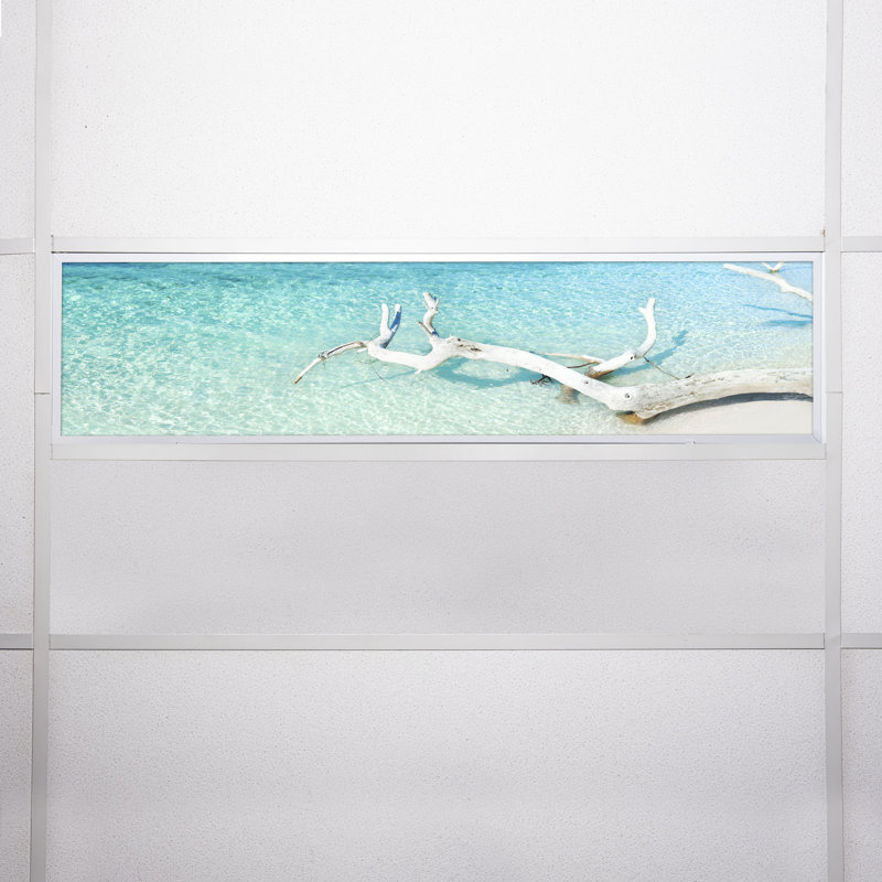 Beach Rectangle Fixture Component Ceiling Light