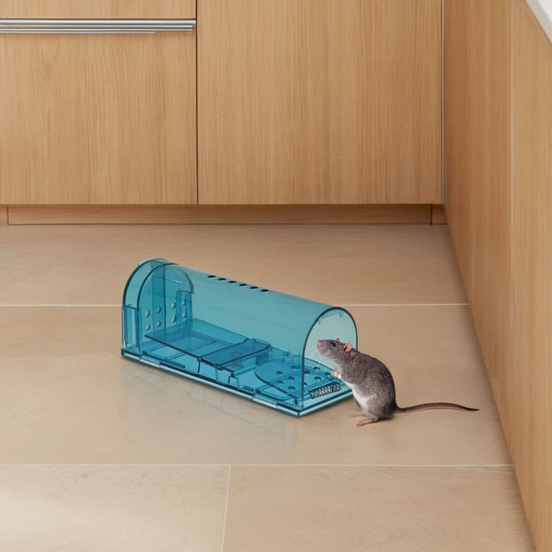 Mouse Cage