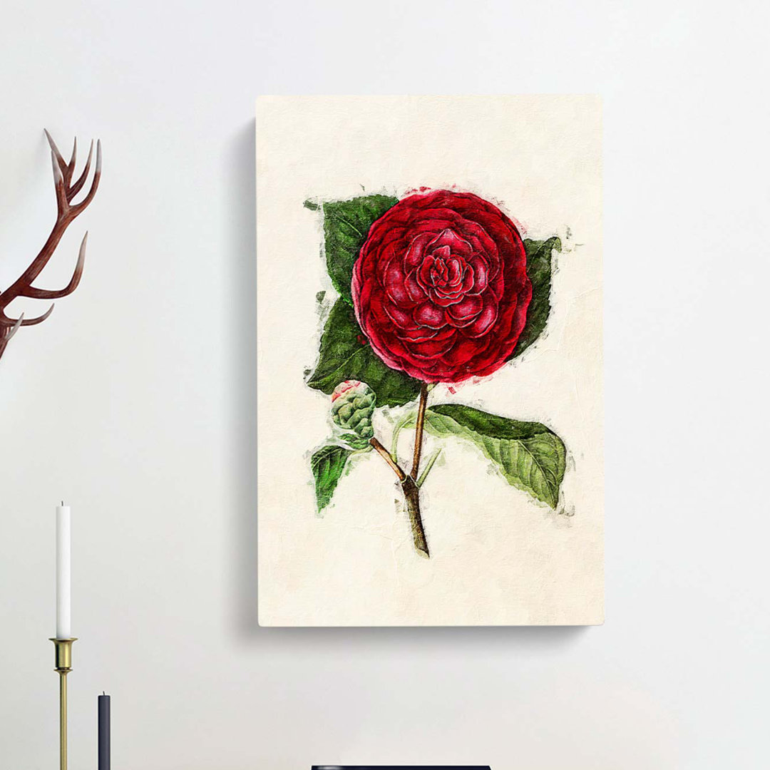 Illustration of a Red Japanese Camellia - Wrapped Canvas