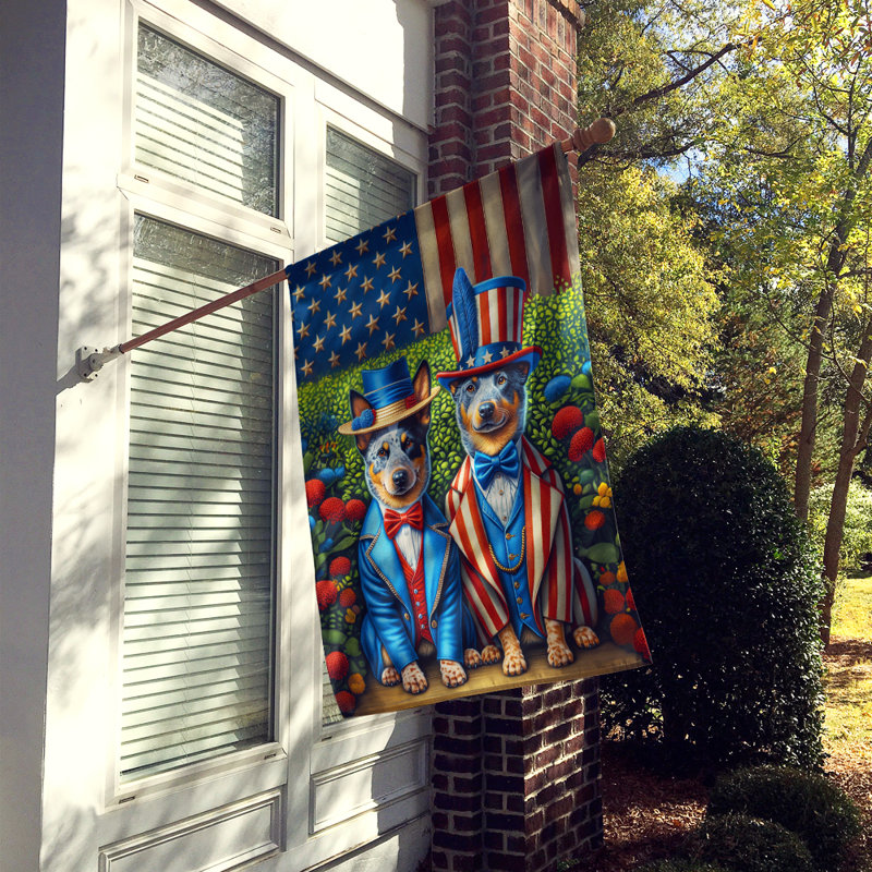 Drapeau «All American House», Bouvier australien