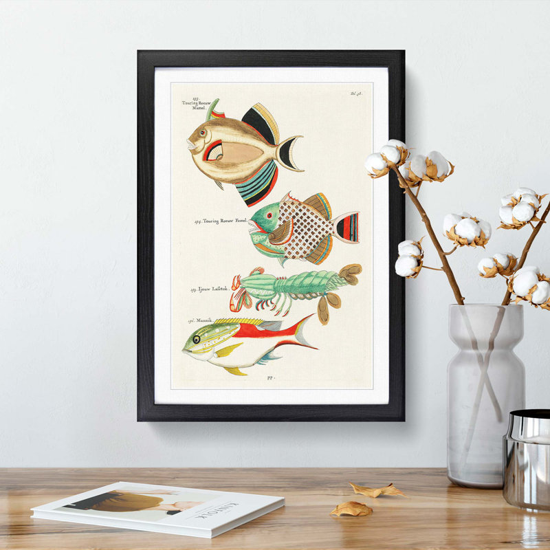 East Indies Fish & Lobster Illustrations Fol. 38 by Louis Renard - Picture Frame Painting Print, 48cm H x 36cm W x 2cm D