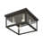 Teodro 4-Light 11" Flush Mount