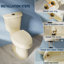 Toilette allongée 2 pièces H / 1,1 / 1,6 GPF Bllo H 19 po avec siège à fermeture en douceur-111448823