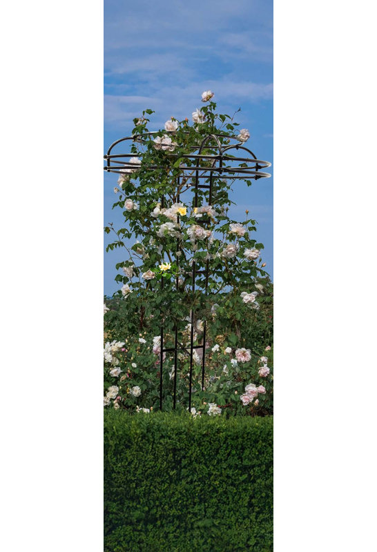 185cm H x 75.5cm W Metal Obelisk
