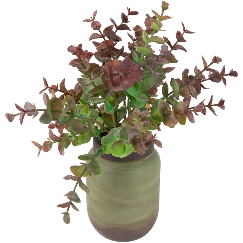 10 plantes