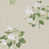 Taupe/White