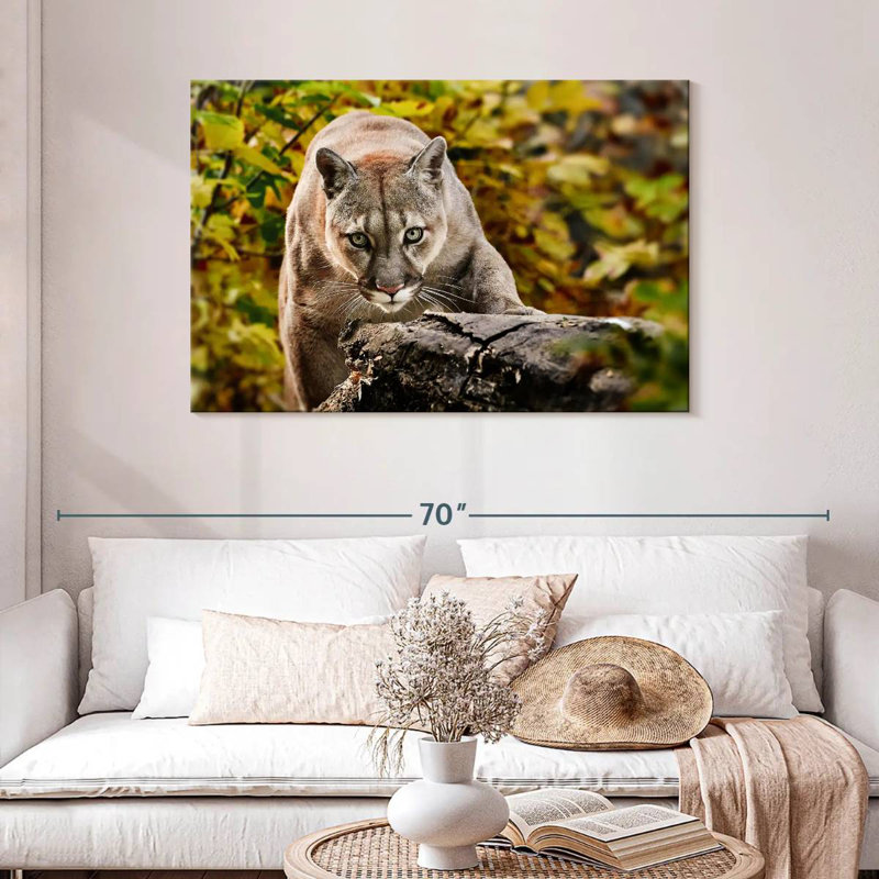 Brampt Hunting Cougar, 30" H x 45" W