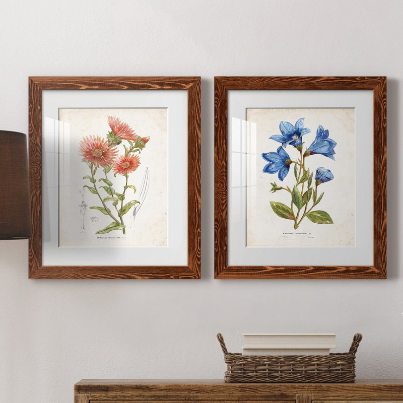 «Botanical I», ensemble de 2 reproductions d'art, H 24 po x l 36 po x P 1,5 po, Papier avec cadre érable, Blanc