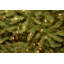 National Tree Company Dunhill Fir Tree with Dual Color LED Lights and PowerConnect-1865348524