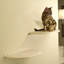 10" Clouds Wall Mounted Cat Perch-1431372506-1431372500
