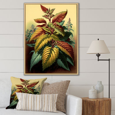 «Coleus Plant Vintage Botanical Illustration I», reproduction sur toile