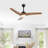 Clorice 52'' Ceiling Fan with LED Lights-469123303