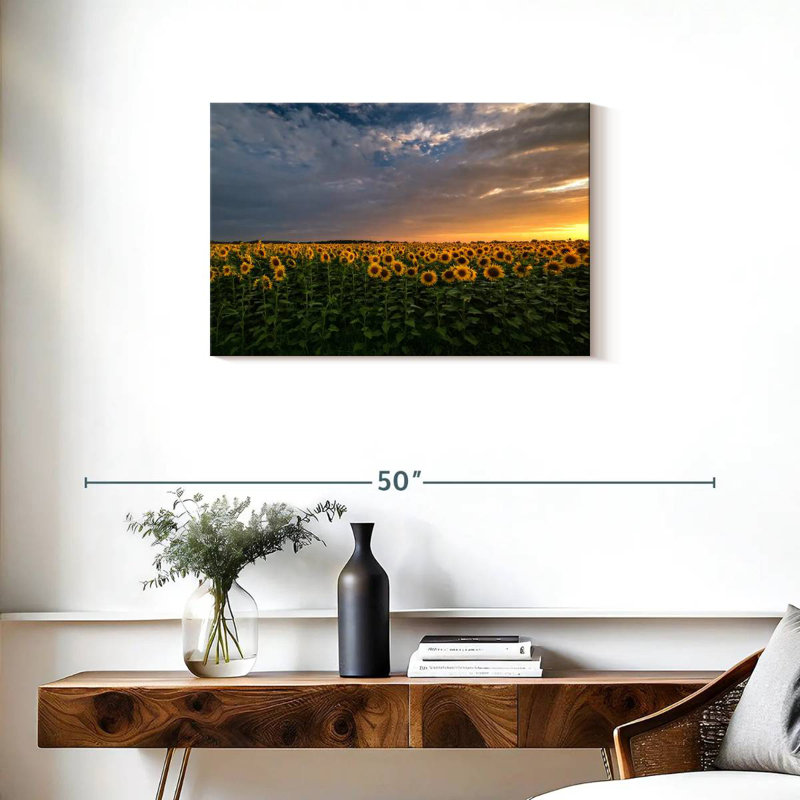Champ de tournesols Alvord Mittenwalde, H 20 po x l 30 po
