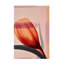 Art sur toile "Bolologic Impressions No 3"-105652597