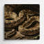 Art mural en métal Wildlife-159272435