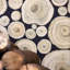 Alnwick Logs Wallpaper-50888806