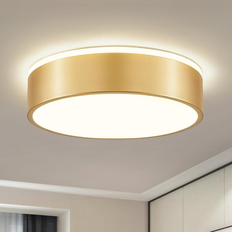Flat Mounted Ceiling Light