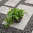 Evry Pot Planter-2122101805