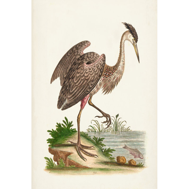 Antique Heron & Cranes III - Painting, 46cm H x 30cm W, Wrapped Canvas