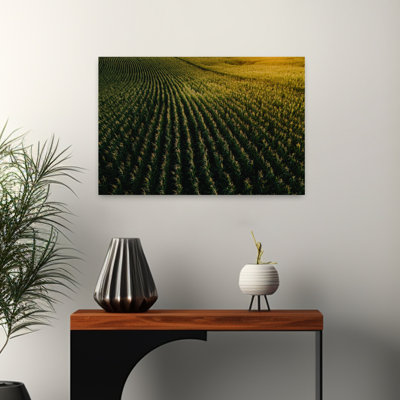 Golden Horizon Fields Serene Abstract Contemporary Landscape Nature Wall Art