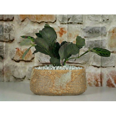 Pot à fleurs ovale