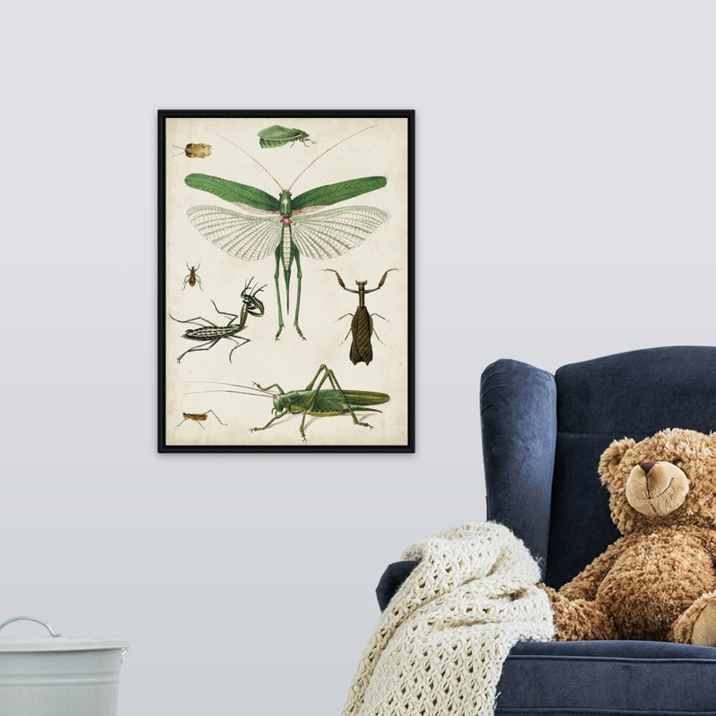 Art sur toile bugs kids, Cadre pour toile flottant noir, H 24 po x l 18 po x P 1,2 po