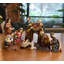 Christmas Nativity Set-2054378921