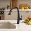 Belfry Kitchen Pull Out Kitchen Faucet-22390133